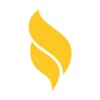 Puzzle Combat icon