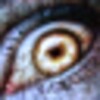 Granny icon