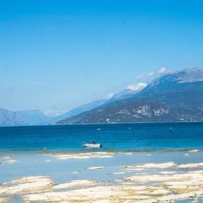 清明假日3天，上海全要素旅游消费交易总金额超106亿元