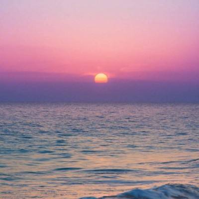 花瓣测爱情
