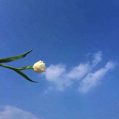 抗干扰能力测试