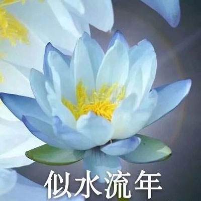 2012情人节测试