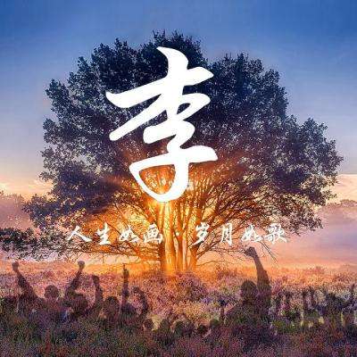 测你和神犬小七有缘吗