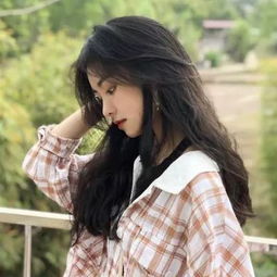 属于你的狗狗