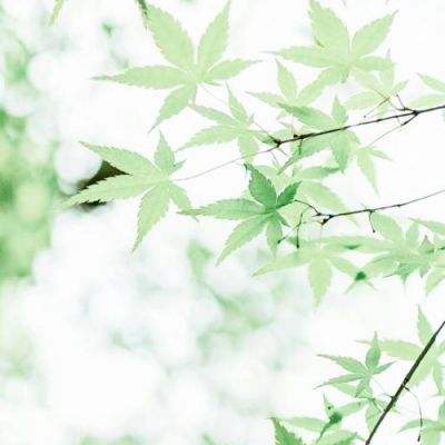 正观快评：男孩被其母打后坠楼，没有一种“担心”需要用暴力表达