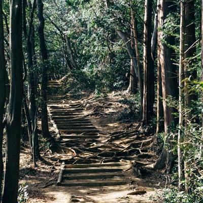 林更新《与凤行》杀青哭成狗，赵丽颖发文以视频方式告别