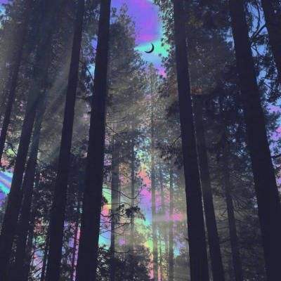 空间知觉能力测试