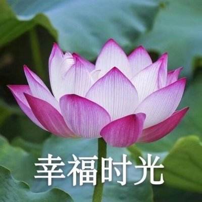 山东港口烟台港中非件杂货班轮创单季度发运量新高