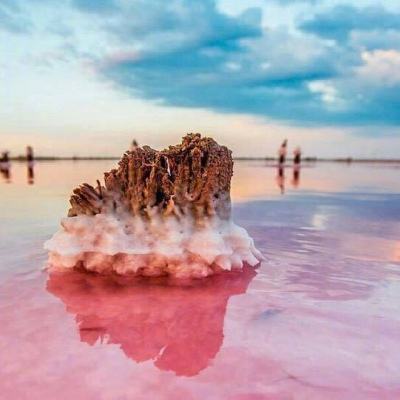 浙江杭州：让专精特新“小企业”释放发展大能量
