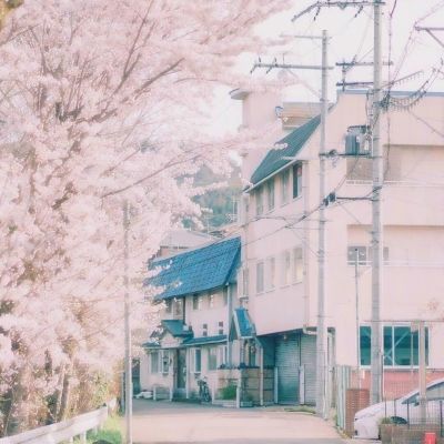 2023年末郑州市常住人口1300.8万人