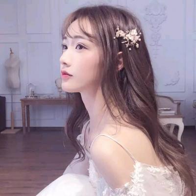 同植桥山柏 共话寻根情—— 甲辰（2024）年清明节海外侨胞代表植树活动侧记