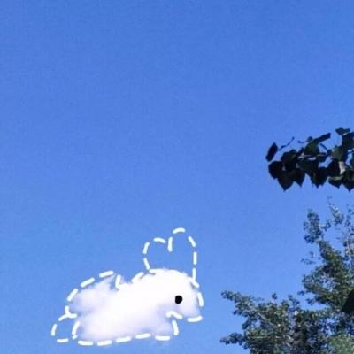 中方：坚决反对美国在亚太地区部署中程导弹