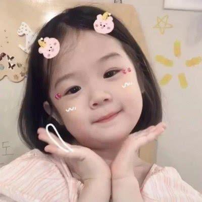 贺开古茶园春茶开采
