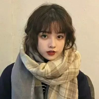美国国务卿布林肯访问法国