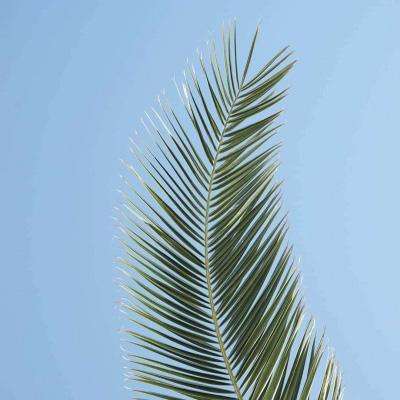 青海将一批药品及制剂纳入门诊慢特病用药目录