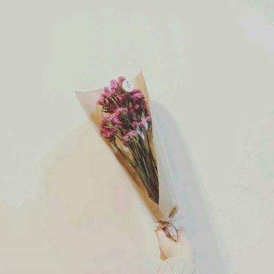测2018桃花运