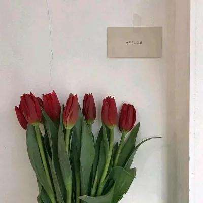开元kyapp下载讲解