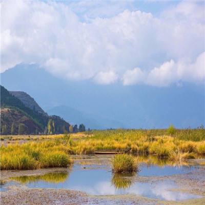 海底總動員裝扮