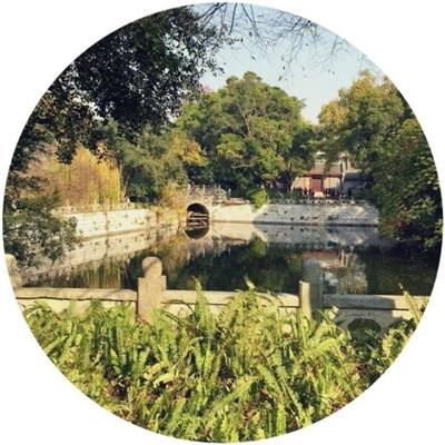 失业送外卖的985硕士陈涛入职当老师