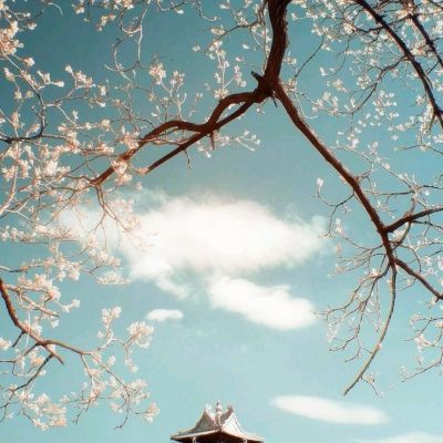乐虎国际官方网电子游戏站截图预览