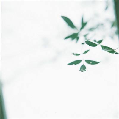 逛博物馆去户外 吉林省迎来春游新热潮