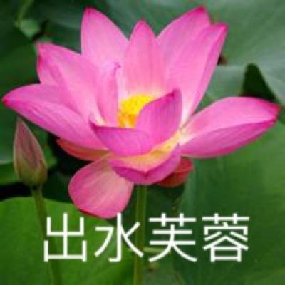 學做菜上色