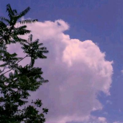 全国台联向遭受地震灾害的台湾乡亲表示慰问