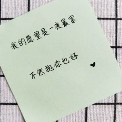 联合国人权理事会通过决议呼吁对以色列实施武器禁运