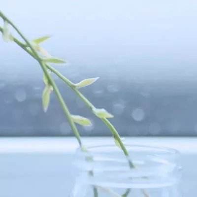 老人扎堆鳄鱼爬 医生：坏处多于好处，有可能导致关节软组织损伤