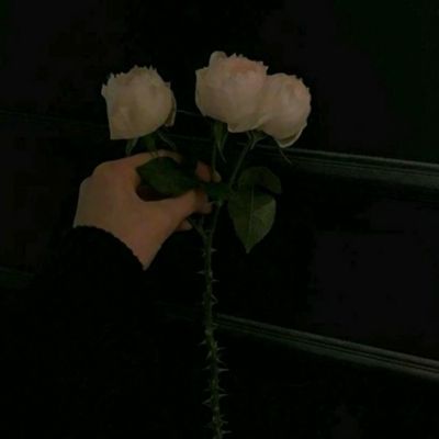 《无限超越班》赵奕欢被郝蕾说没有女主气场